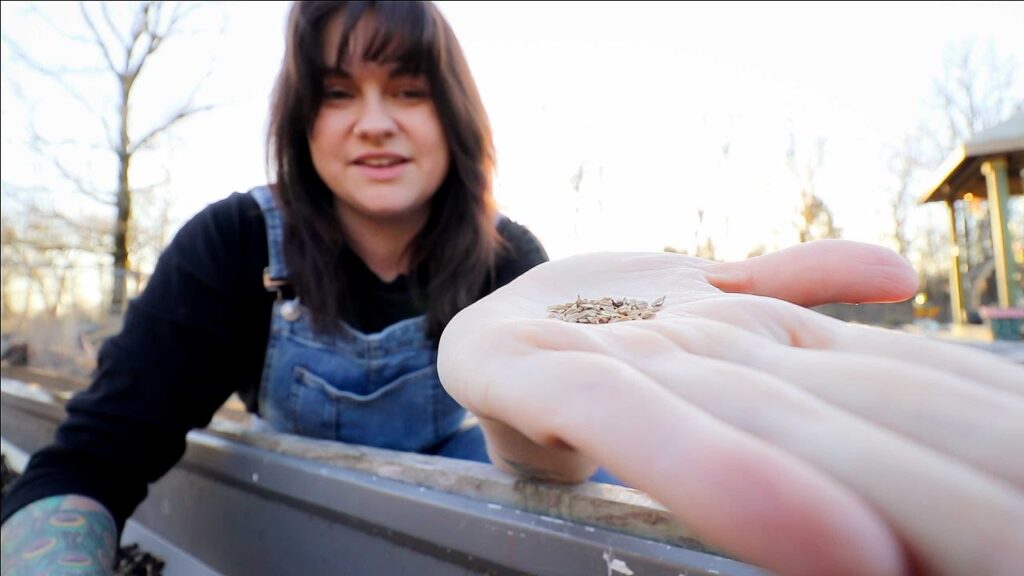 A woman holding carrot seeds in the palm of her hand.