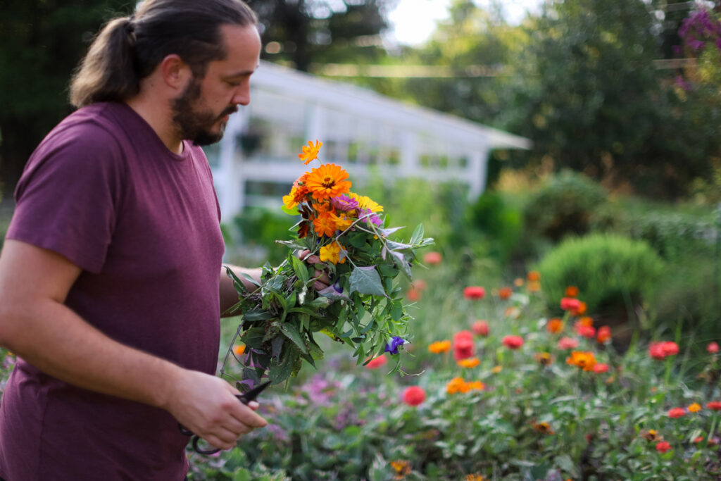 A man picking a bouquet of flowers in the garden.