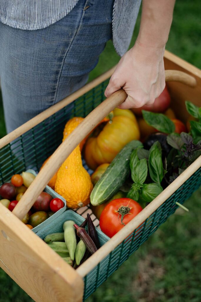 A harvest basket filled with fresh picked produce from the garden.