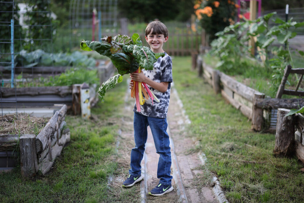 A boy holding an armful of produce standing between multiple raised garden beds.