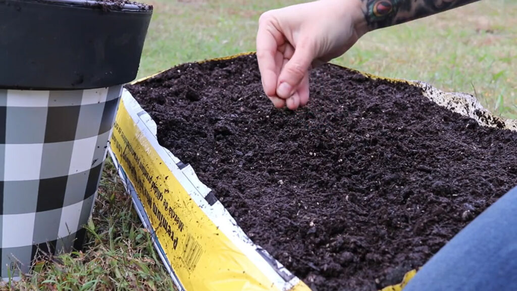 A hand sowing seeds in a bag of potting soil.