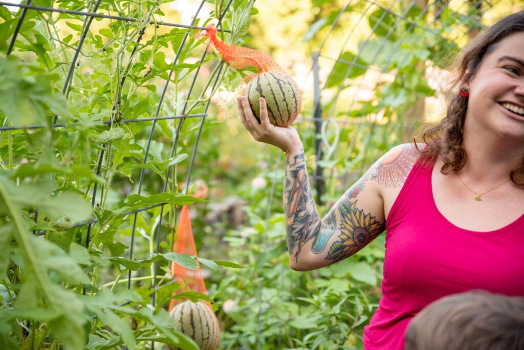 A woman holding up a melon in a mesh bag hanging from the vine.