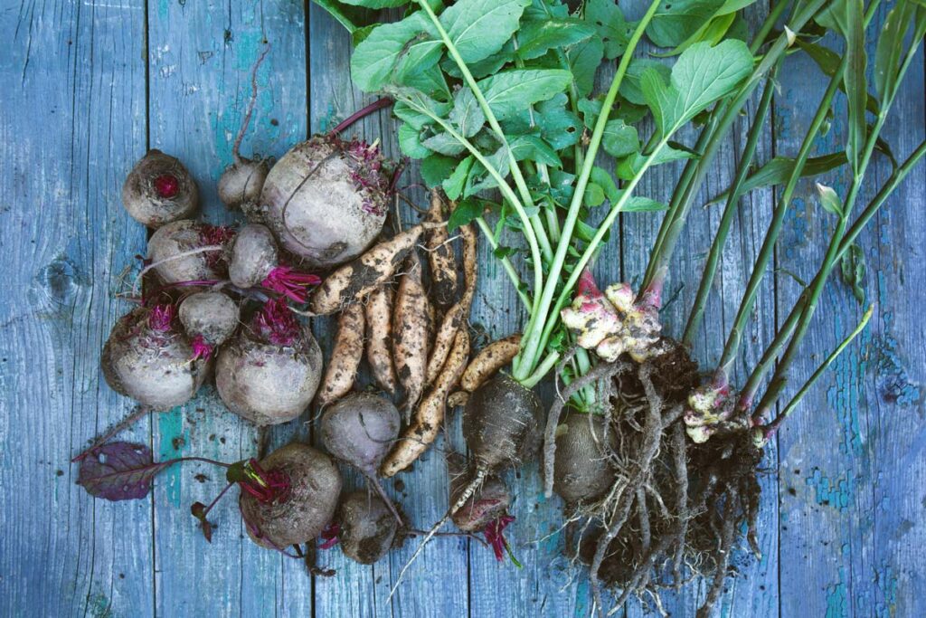 Root vegetables laid out on a wooden deck.