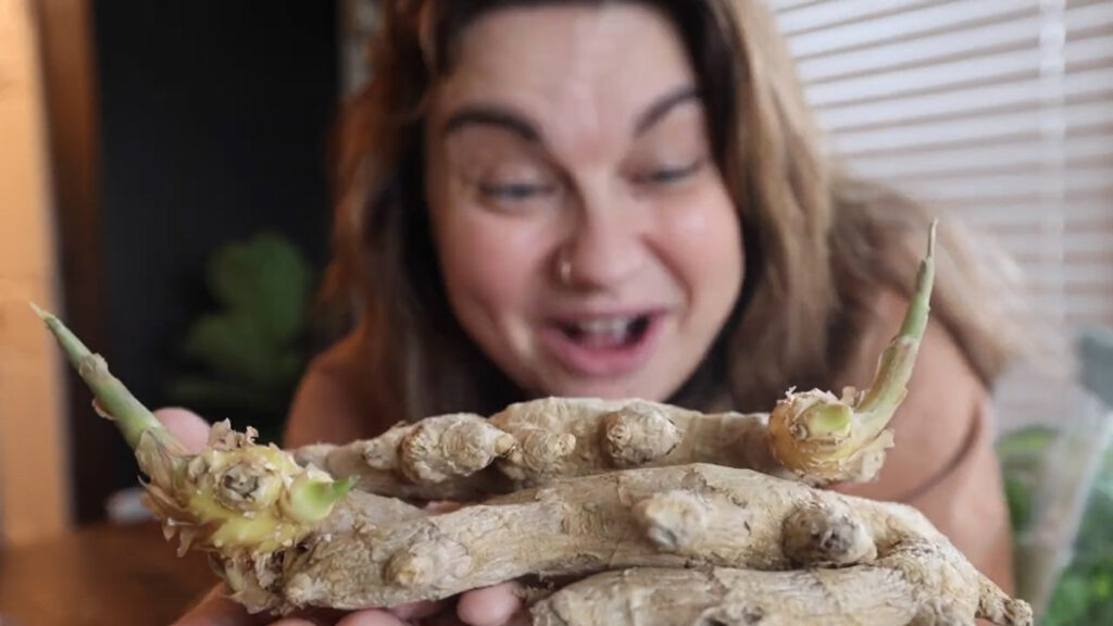 A woman looking at two large pieces of ginger that are growing sprouts.