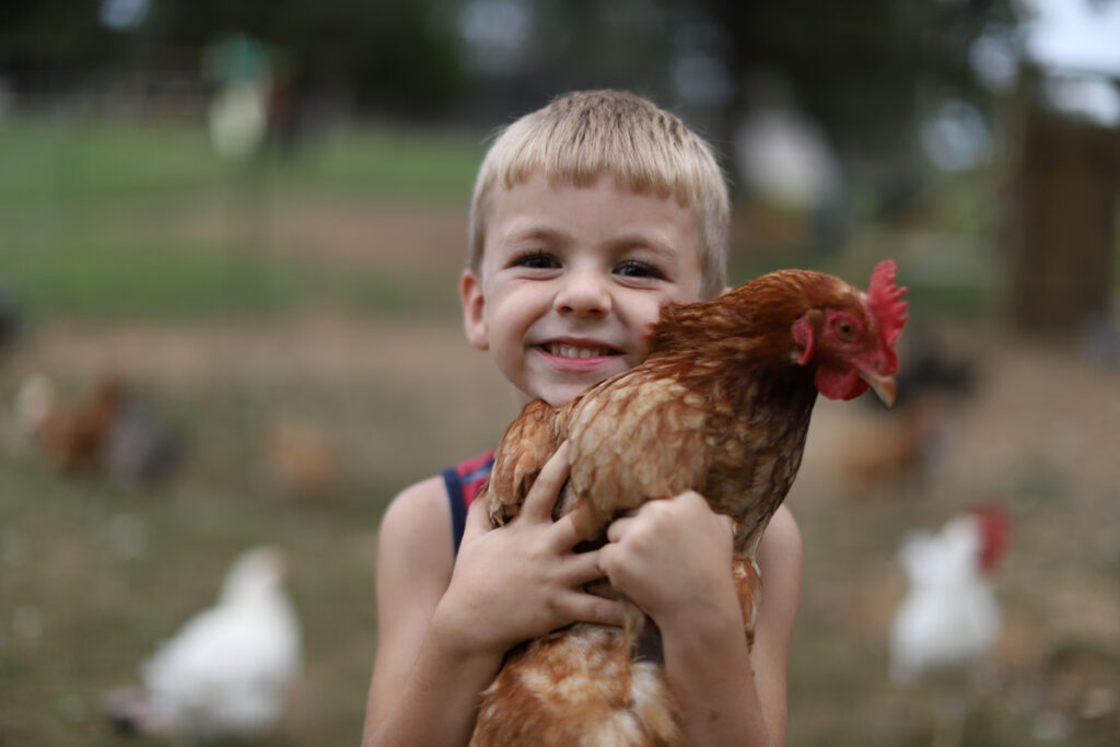 A young boy hugging a chicken.