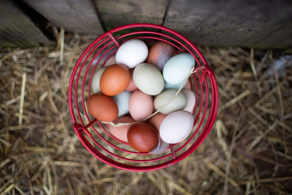 An overhead view of a red basket filled with fresh eggs.