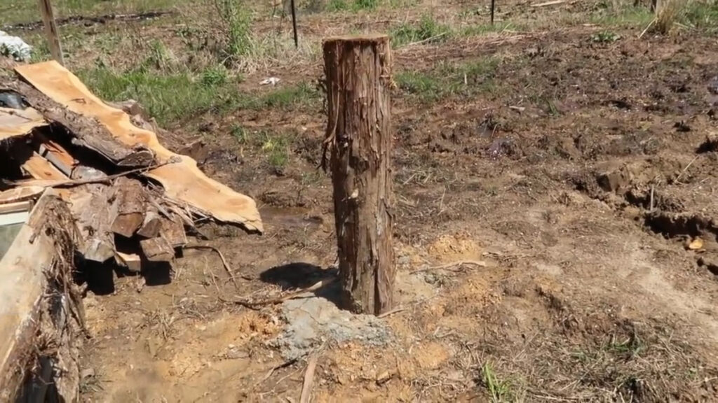 A wooden rough sawn post set in the ground.