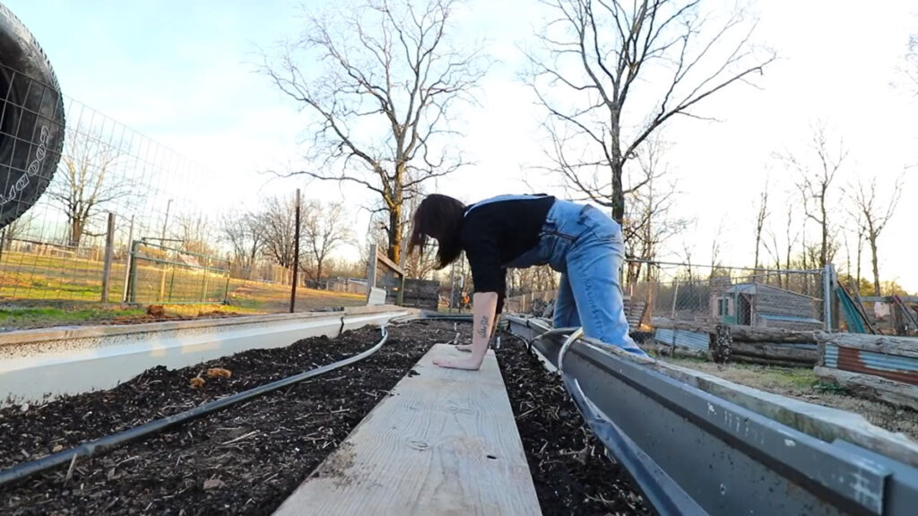 A woman pressing a board down over planted carrot seeds.