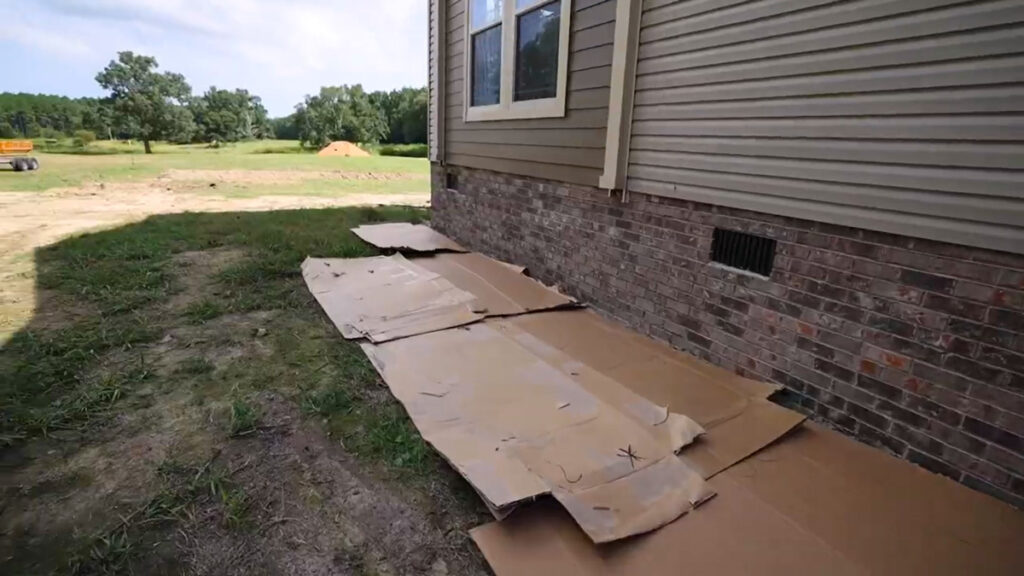 Cardboard boxes broken down and laid in a line over grass.