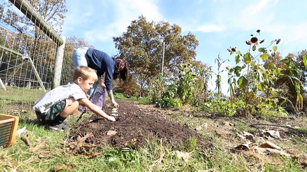 A mother and son planting garlic cloves in the garden.