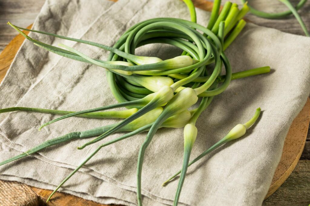 Garlic scapes on a towel lined cutting board.