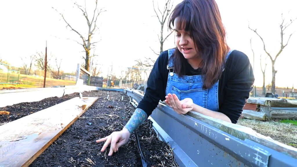 A woman sowing carrot seeds into a raised garden bed.