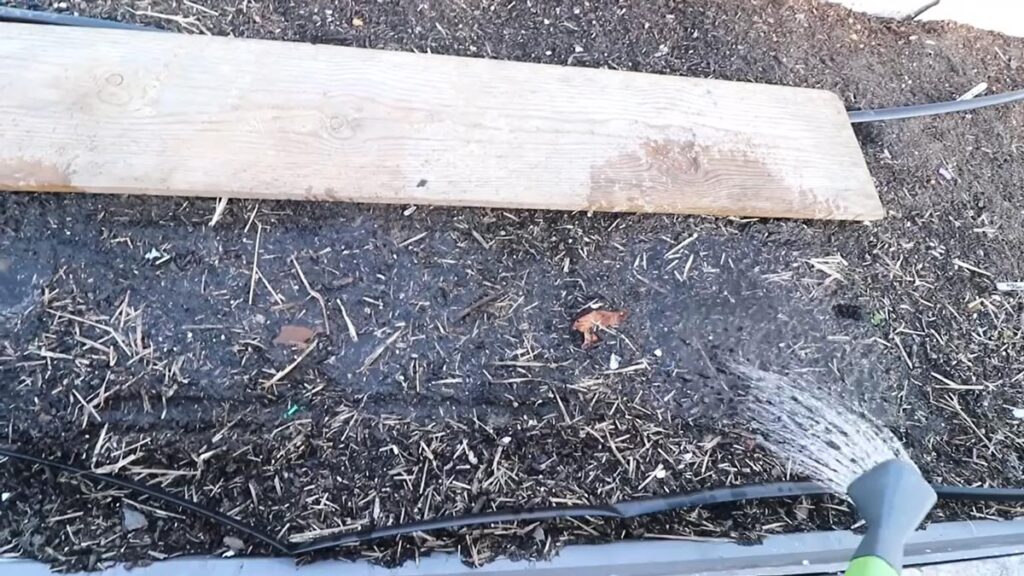 Soil being watered with a watering can.