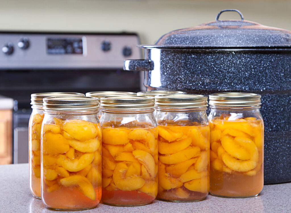 Canned peaches lining a counter next to a water bath canner.