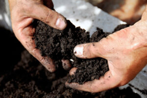 A man's hands holding compost.