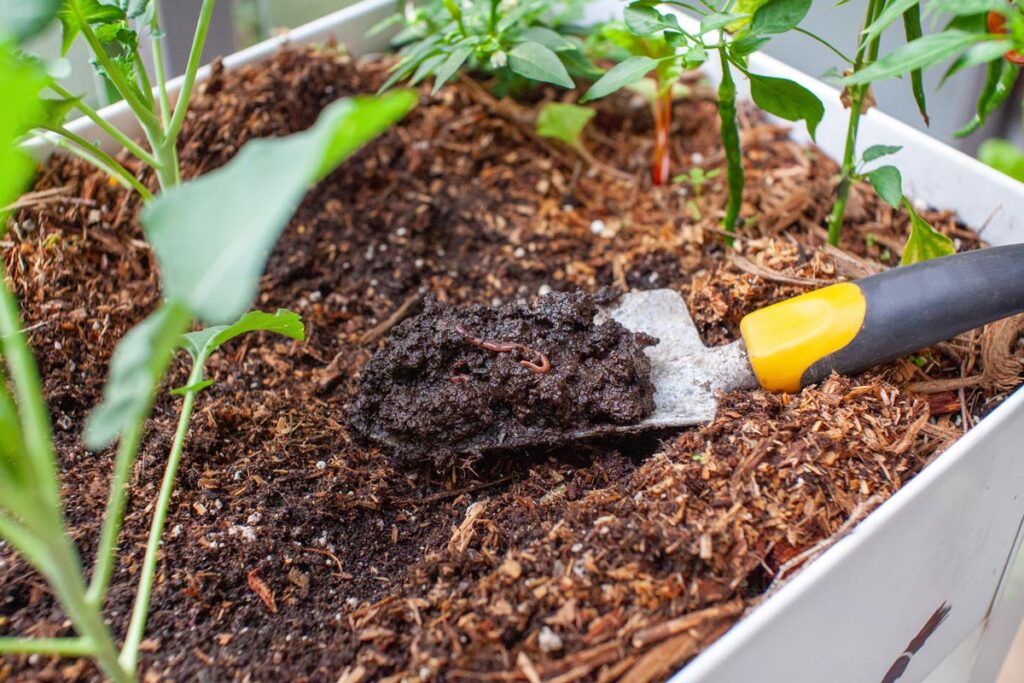 A small shovel with a scoop of soil and an earthworm.