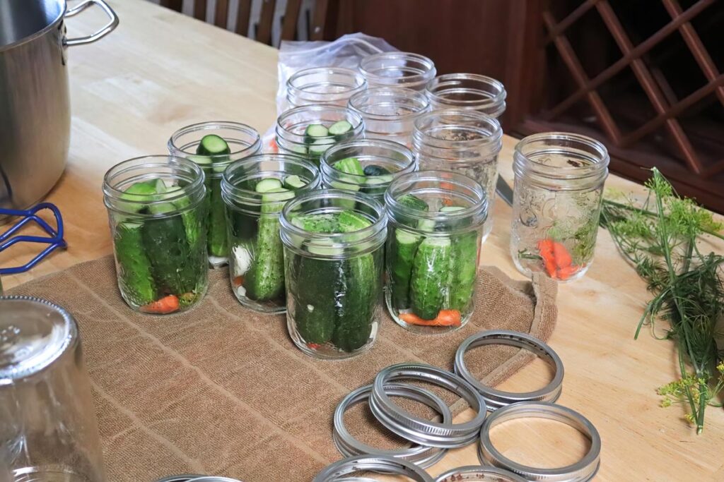 Mason jars filled with ingredients for home canned pickles.