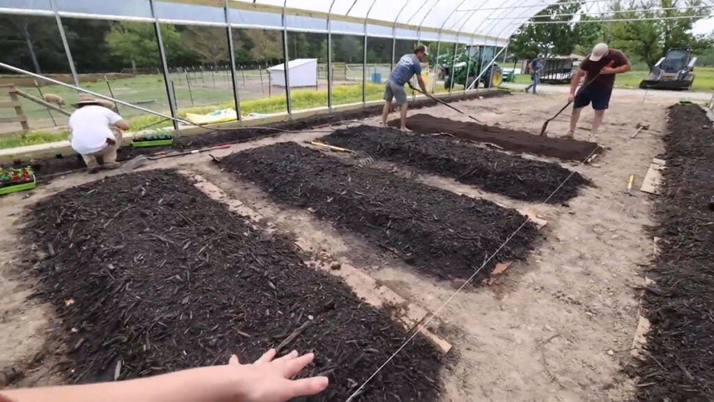 No-till garden beds in a high tunnel.