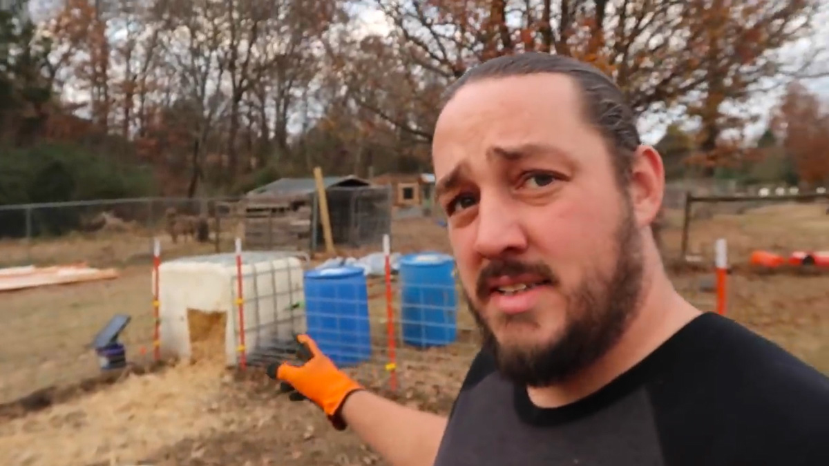 How to Build Pig Shelters On a Budget - Roots and Refuge