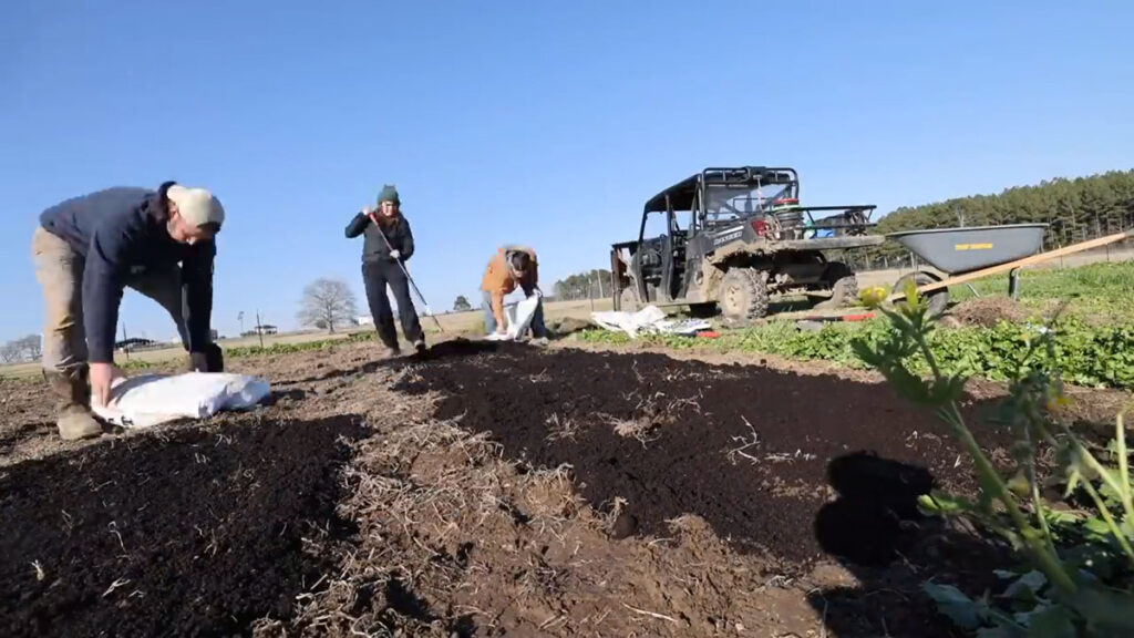 Garden beds being prepared with compost.