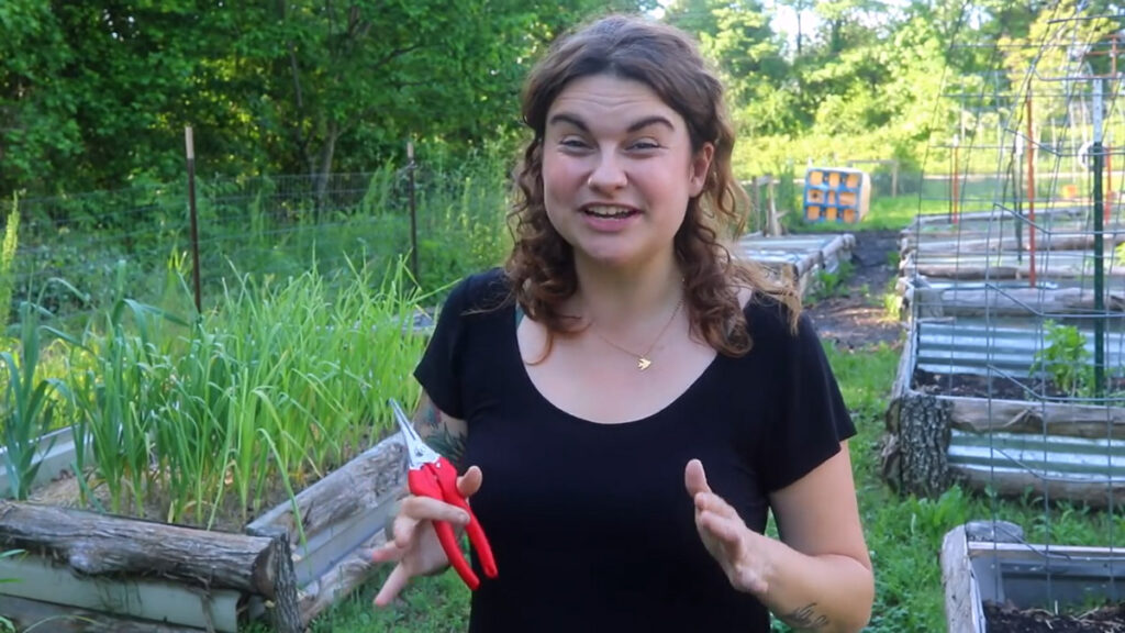 A woman holding up pruning sheers with red handles. 