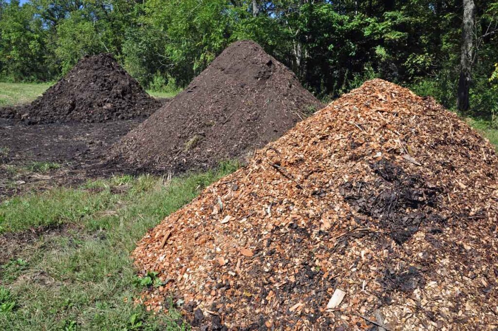 Three large compost piles at various stages of being broken down.