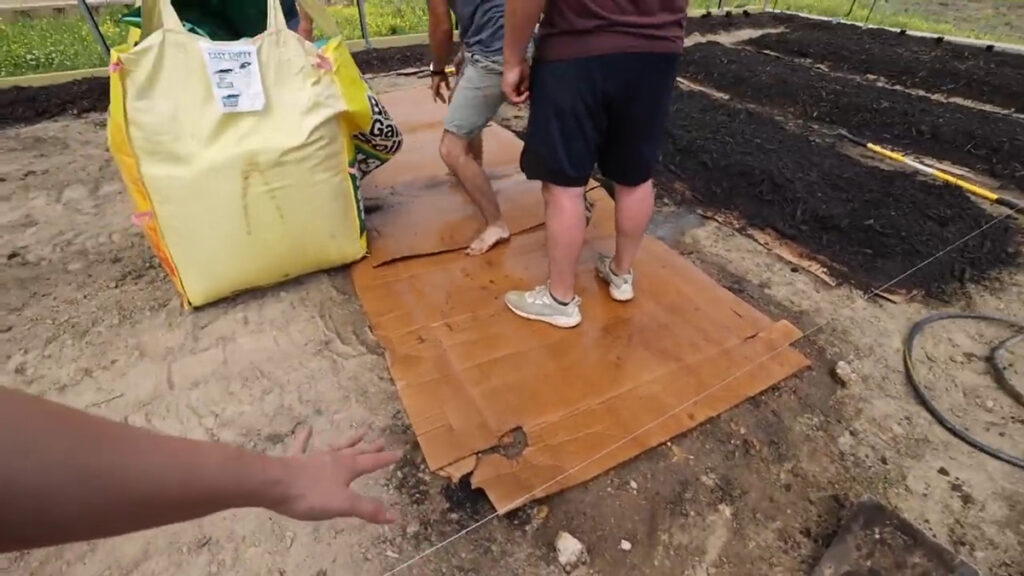 Wet cardboard on the ground for the base of a no-till garden bed.