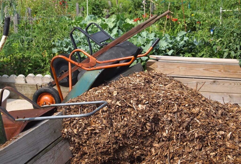 A large pile of woodchips next to a wheelbarrow.