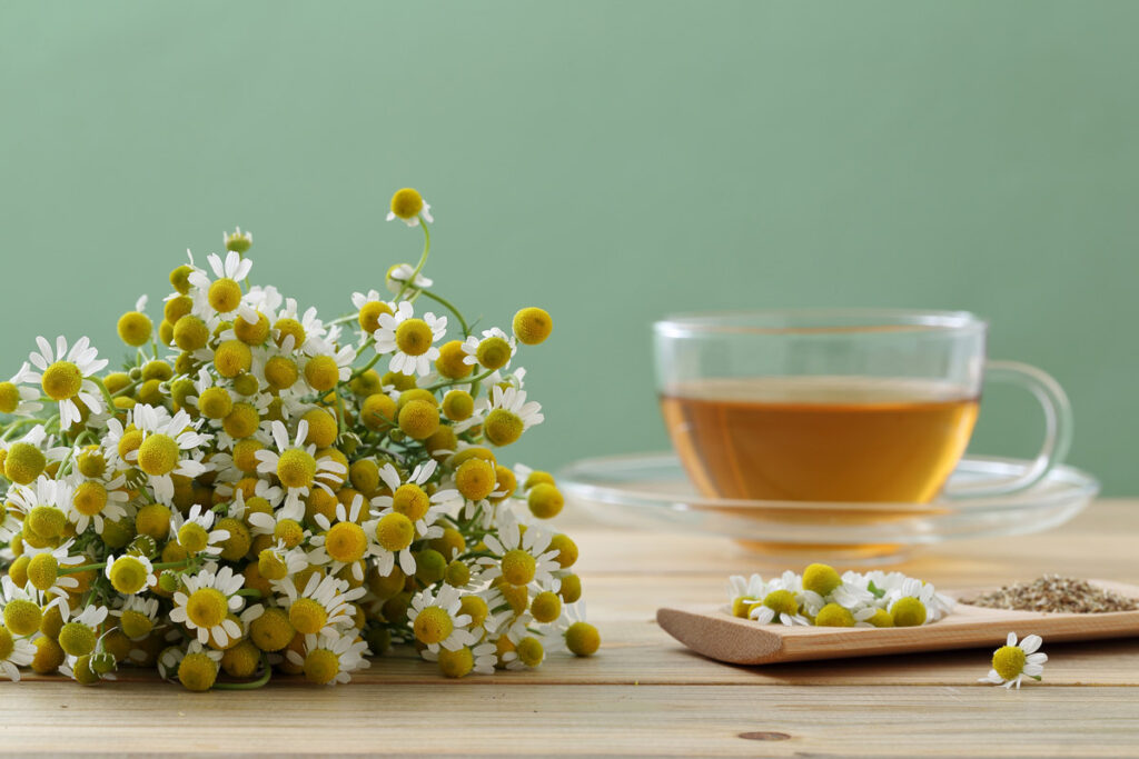 A glass of chamomile tea next to a bunch of chamomile flowers.