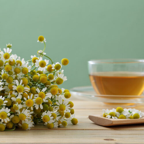 A glass of chamomile tea next to a bunch of chamomile flowers.