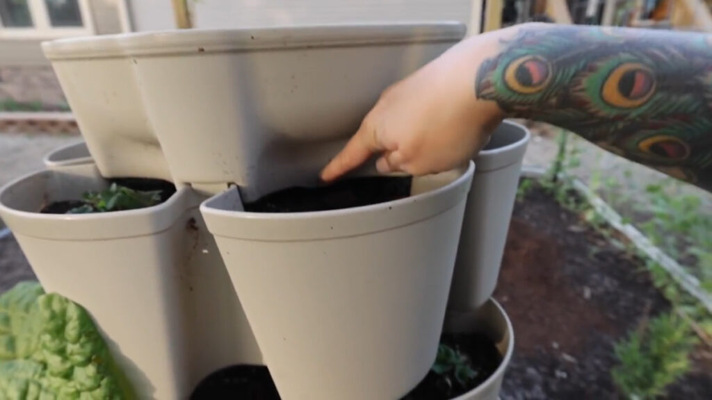 A woman's hand pointing to the top tier of a Greenstalk planter.