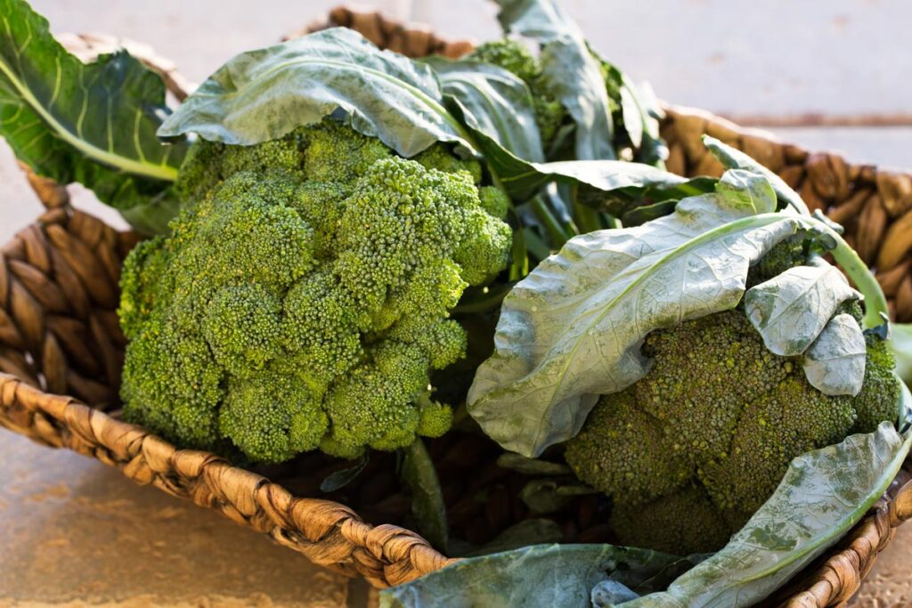 Two heads of broccoli in a wicker basket.