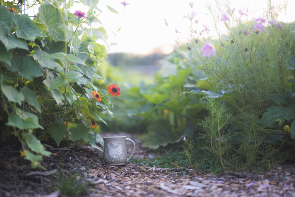 A coffee mug left in the garden between plants.