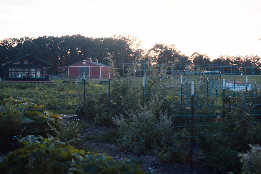 Picture of a garden with a greenhouse and barn in the background.