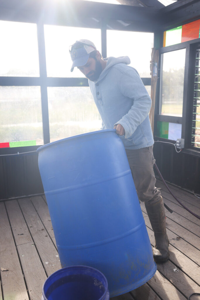 A man moving a 55 gallon drum for making compost tea.