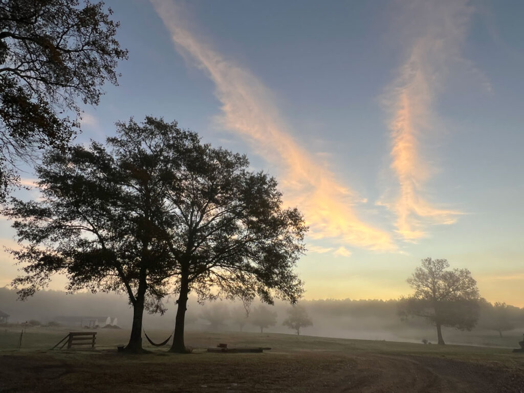 Fog covered morning just before sunrise on a farm.