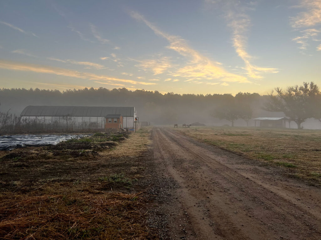 Fog covered morning just before sunrise on a farm.