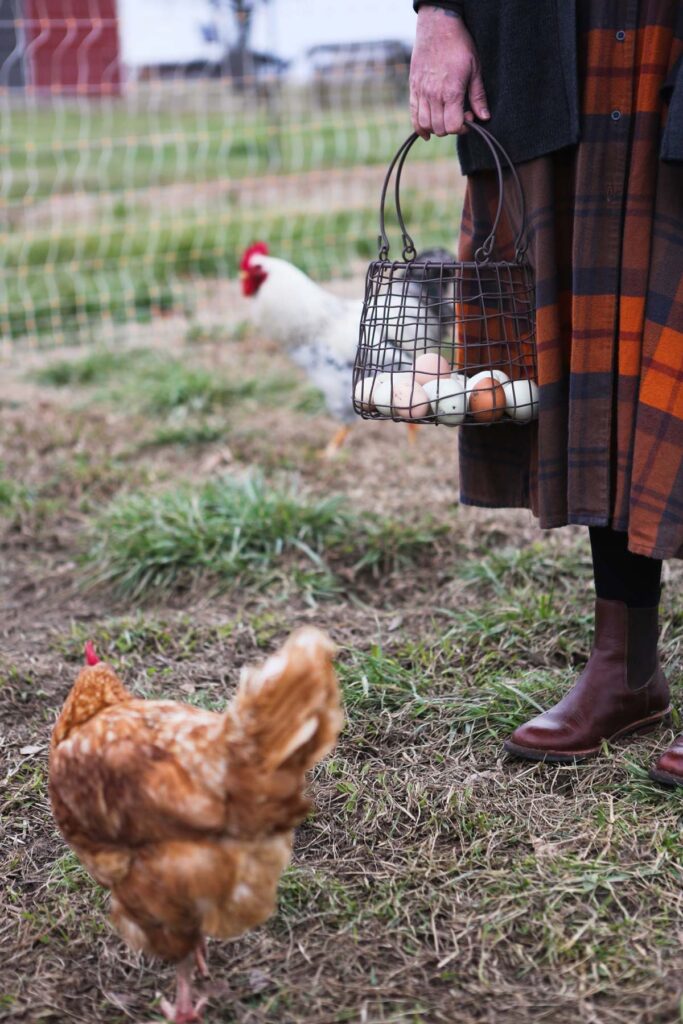 A woman holding a basket of eggs with chickens around her.