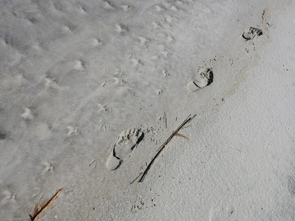 Footprints on a beach.
